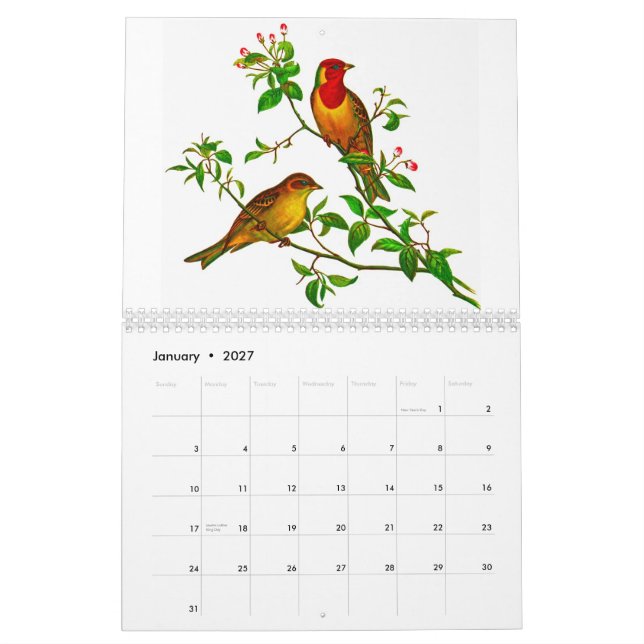 Calendário Rosella amarelo (Jan 2027)