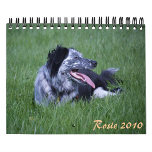 Calendário Rosie 2010