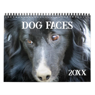 Calendário Rostos e Expressões de Cachorro