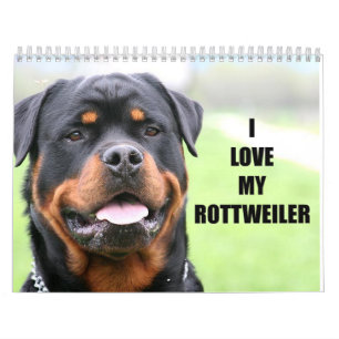 Calendário Rottweiler