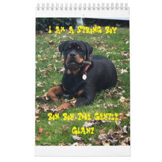 Calendário Rottweiler Calendar 