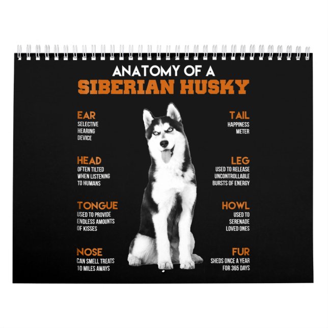 Calendário Rouco| Anatomia Dos Cães-Pau Siberianos (Capa)