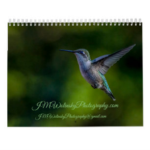 Calendário Ruby Throated Hummingbird 2025Calendar