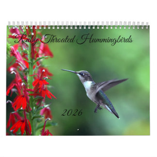 Calendário Ruby Throated Hummingbird 2026 Calendar