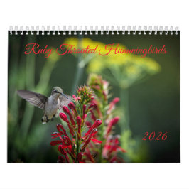 Calendário Ruby Throated Hummingbirds