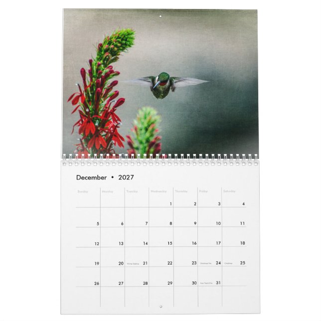 Calendário Ruby Throated Hummingbirds (Dez 2027)
