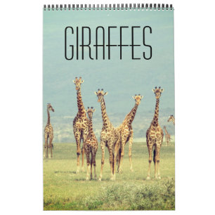 Calendário safari africano de girafa