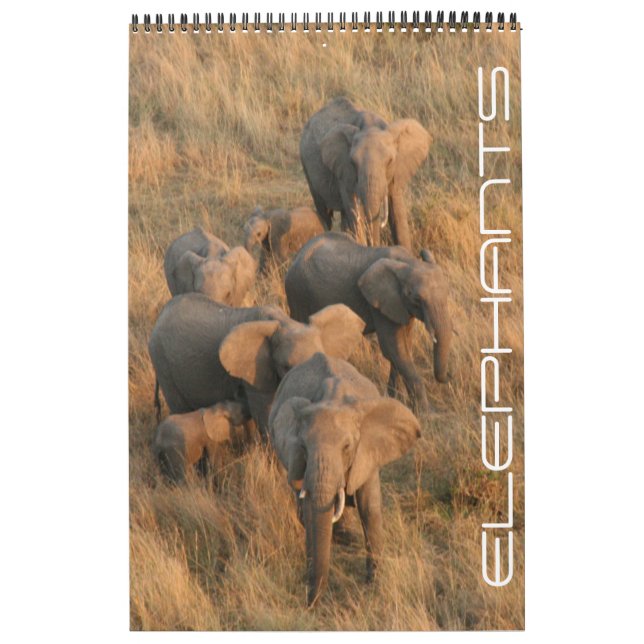 Calendário safári de elefantes (Capa)
