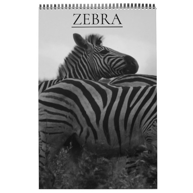 Calendário safari de zebras (Capa)