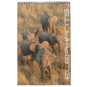Calendário safari elefante