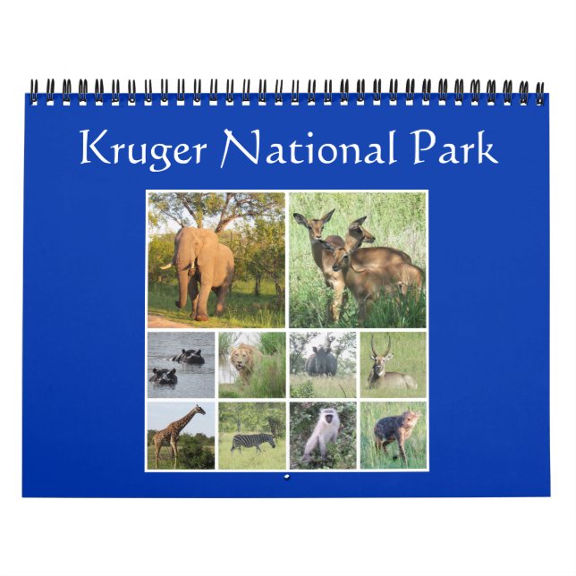Calendário safari kruger (Capa)