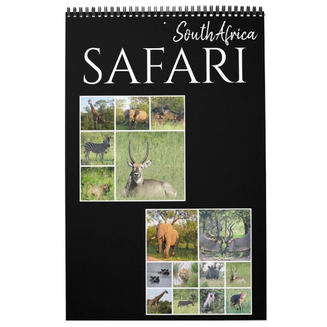 Calendário safari sul africano 2025 (Capa)