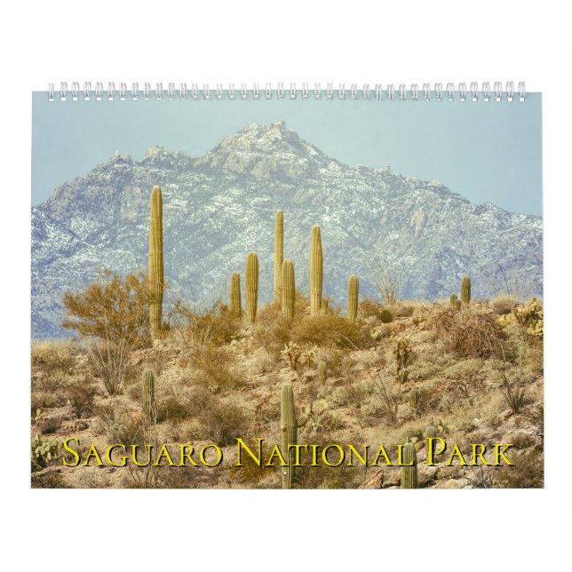 Calendário Saguaro National Park Landscape (Capa)