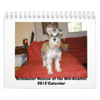 Calendário Salvamento do Schnauzer do 2012 meio-Atlântico