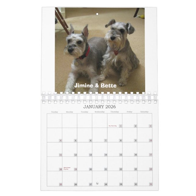 Calendário Salvamento do Schnauzer do 2012 meio-Atlântico (Jan 2026)