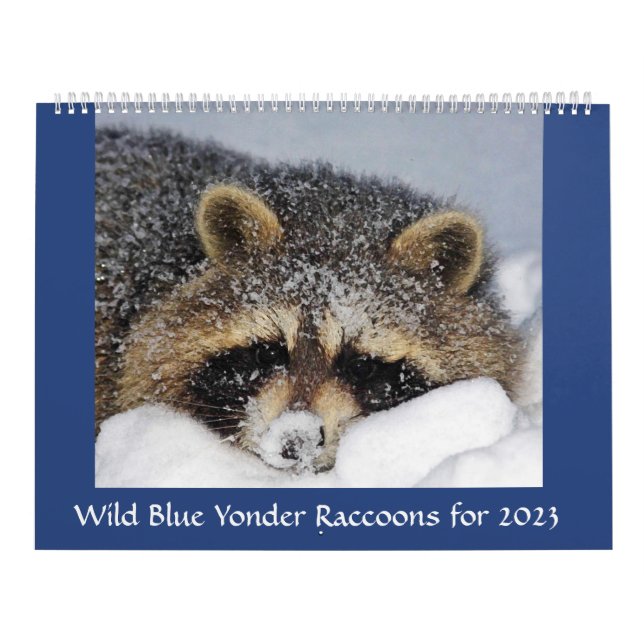 Calendário Salvamento e libertação de Raccoon em Wild Blue Yo (Capa)