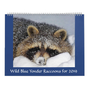 Calendário Salvamento e libertação de Raccoon em Wild Blue Yo