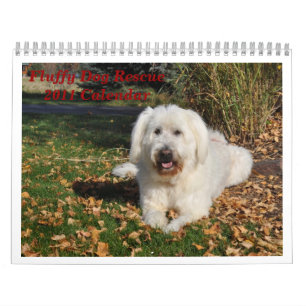 Calendário Salvamento Fluffy Dog