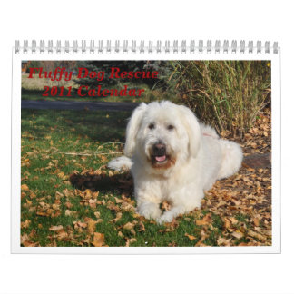 Calendário Salvamento Fluffy Dog