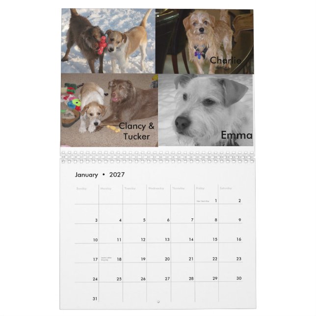 Calendário Salvamento Fluffy Dog (Jan 2027)