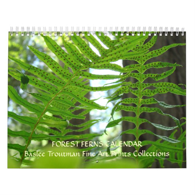CALENDÁRIO SAMAMBAIAS Floresta de Samambaia da Seq (Capa)