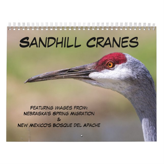 Calendário Sandhill Cranes (Capa)