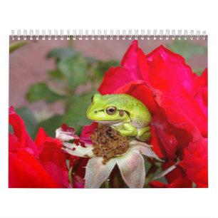Calendário Sapos 2009