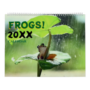Calendário sapos 2025 no Nature Wall Calendar