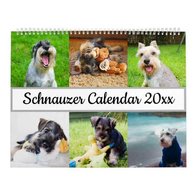 Calendário Schnauzer (Capa)