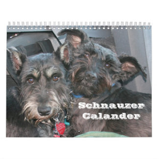 Calendário Schnauzer Calander