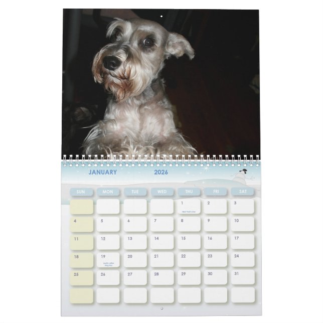 Calendário Schnauzer Calander (Jan 2026)