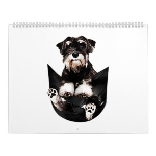 Calendário Schnauzer, no meu bolso, amantes de cãozinho