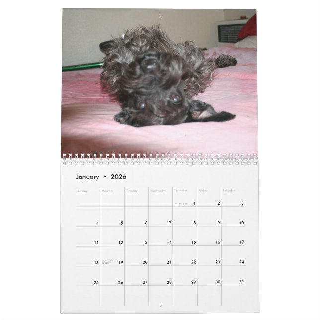 Calendário Schnauzers (Jan 2026)
