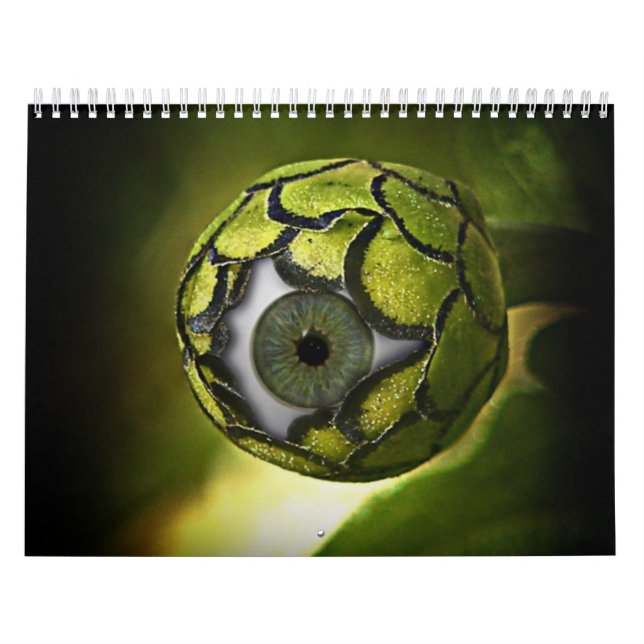 Calendário " Sci-Fi " (Capa)