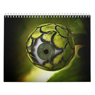 Calendário " Sci-Fi "