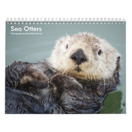 Calendário Sea Otter Channel Calendar #1