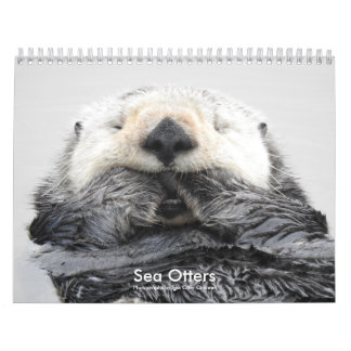 Calendário Sea Otter Channel Calendar #2