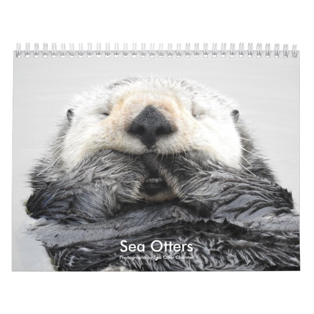 Calendário Sea Otter Channel Calendar #2 (Capa)