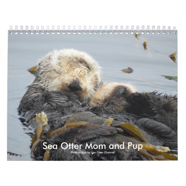 Calendário Sea Otter Mom and Pup Calendar #1 (Capa)