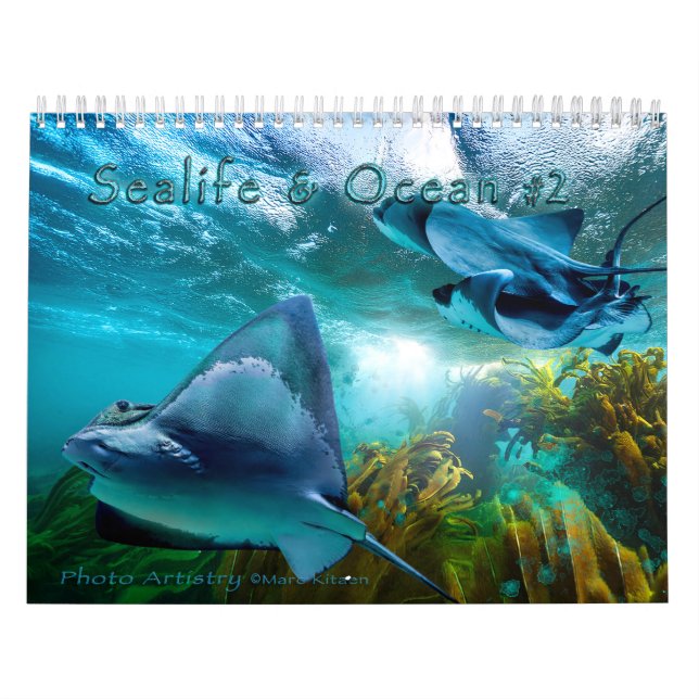 Calendário SEALIFE AND OCEAN ART #2 Calendar (Capa)