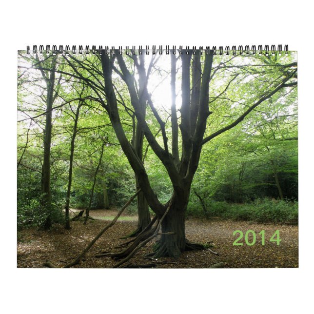 Calendário Secret Wild London 2014 (Capa)