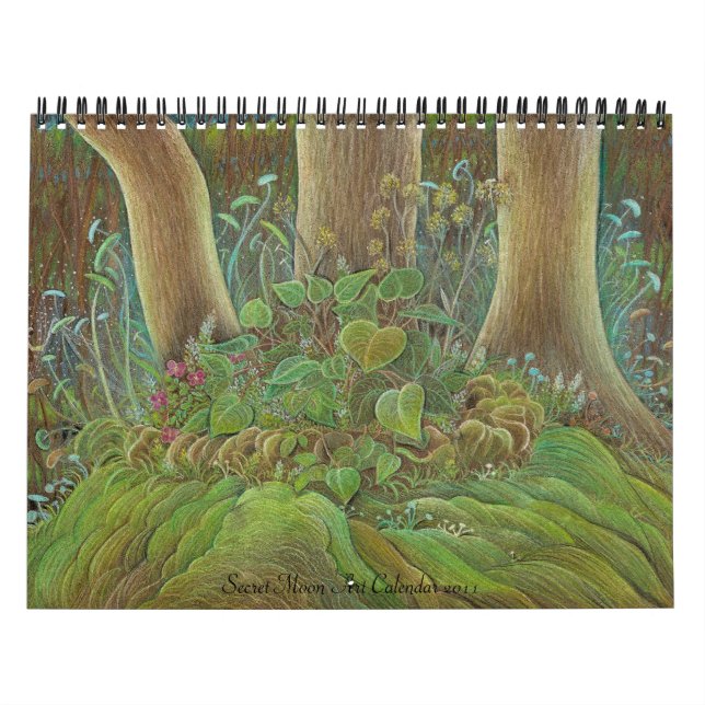 Calendário secreto 2011 da arte da lua (Capa)