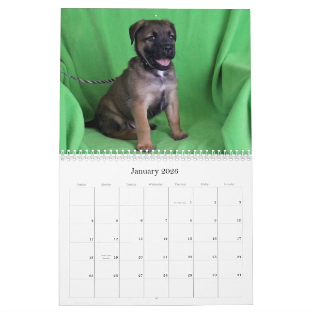 Calendário seguro do salvamento 2015 das mãos (Jan 2026)