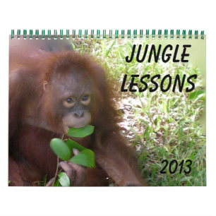 Calendário Selgle Lessons Wildlife Orangutans