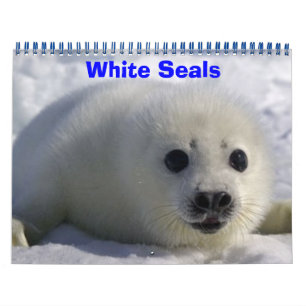 Calendário Selos Brancos!