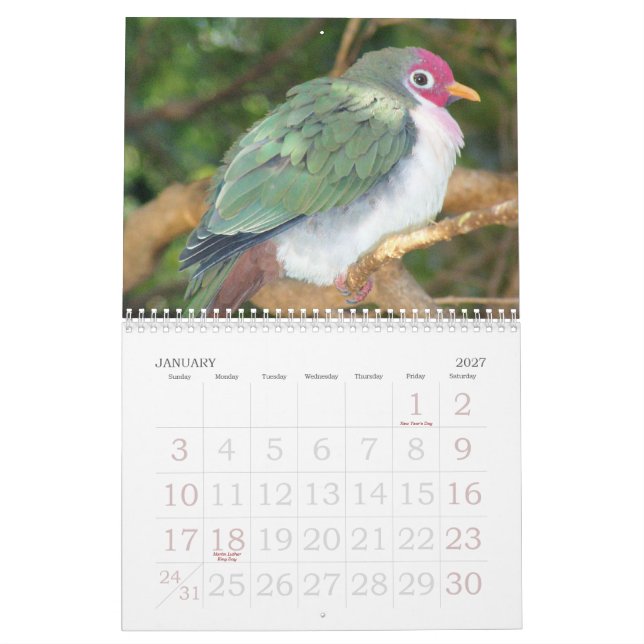 Calendário selvagem 2007 do pássaro do rick (Jan 2027)