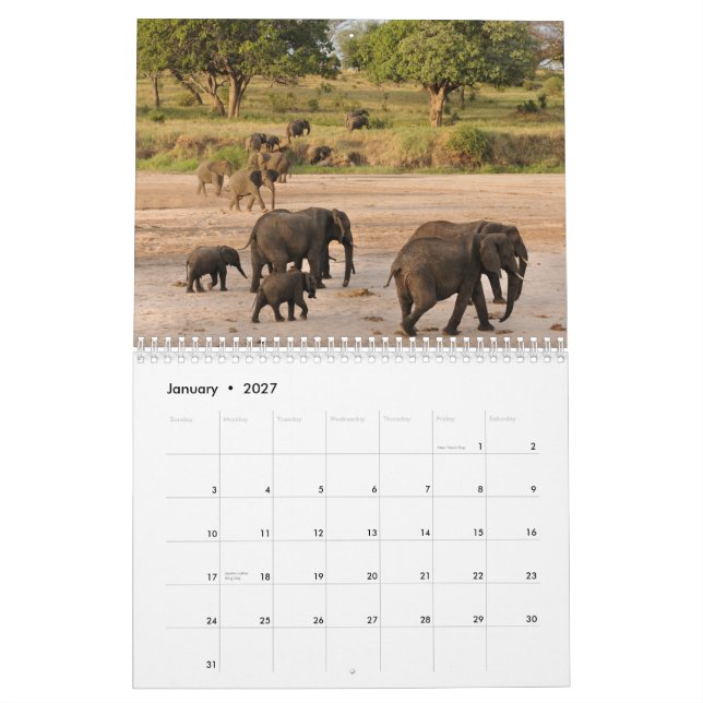 Calendário selvagem de Tanzânia (Jan 2027)