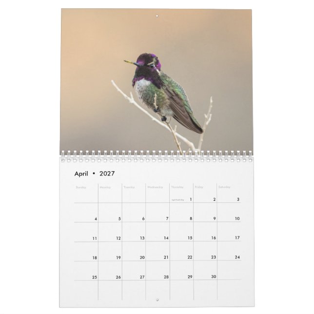 Calendário selvagem do pássaro 2018 (Abr 2027)