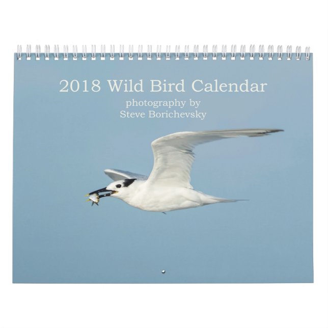 Calendário selvagem do pássaro 2018 (Capa)