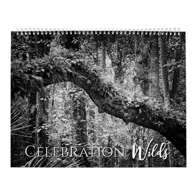 Calendário Selvagens de Celebração (Capa)